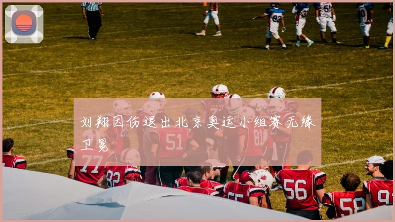 刘翔因伤退出北京奥运小组赛无缘卫冕