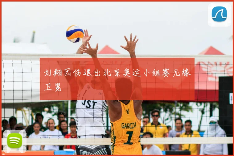 刘翔因伤退出北京奥运小组赛无缘卫冕