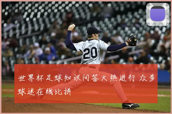 世界杯足球知识问答火热进行 众多球迷在线比拼